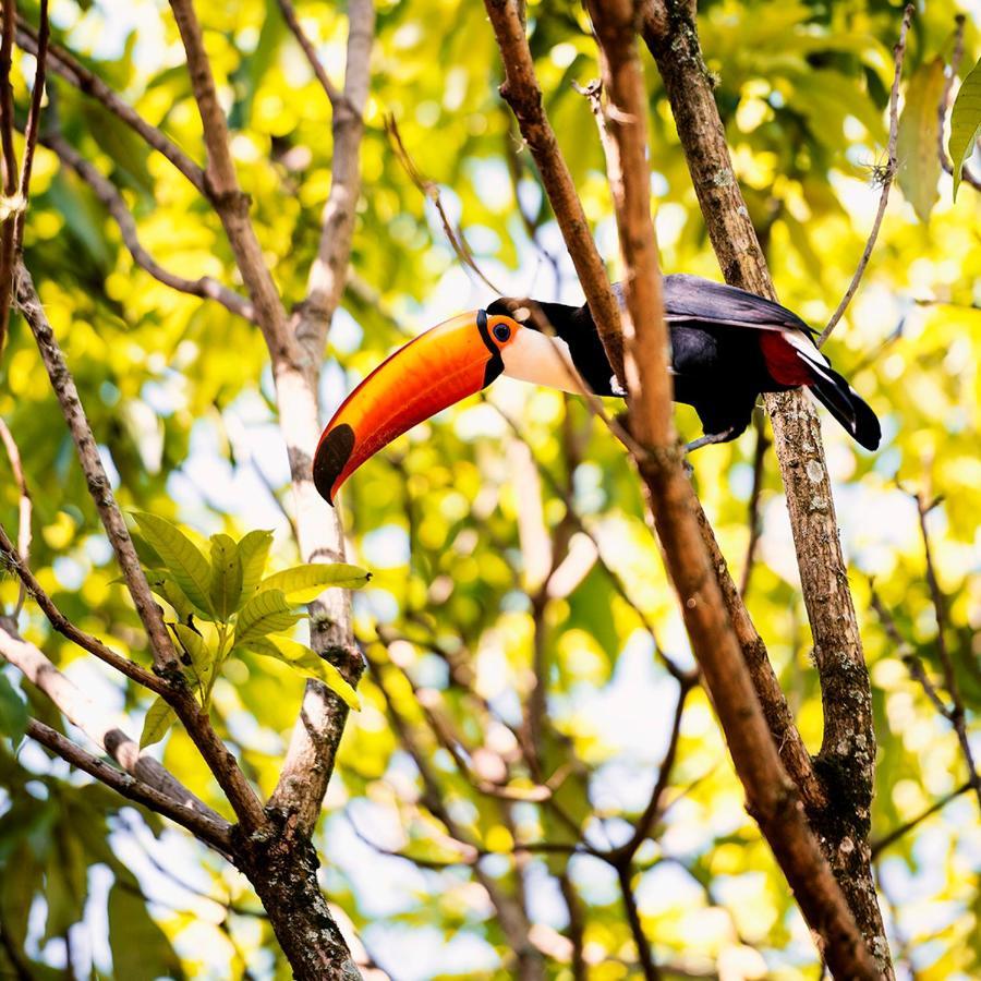 Fazenda Capoava Villa Itu Luaran gambar