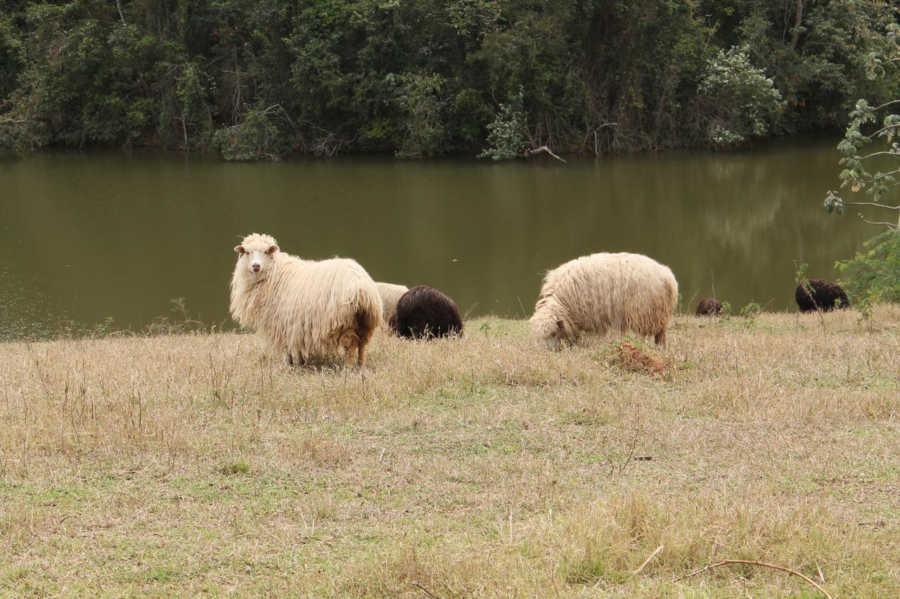 Fazenda Capoava Villa Itu Luaran gambar